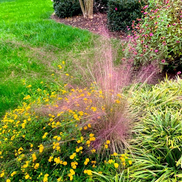 Meet your Posher, AS - Picture 1 of 1